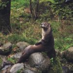 セミリタイア開始時のポートフォリオ