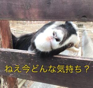 仕事で爆損！その２